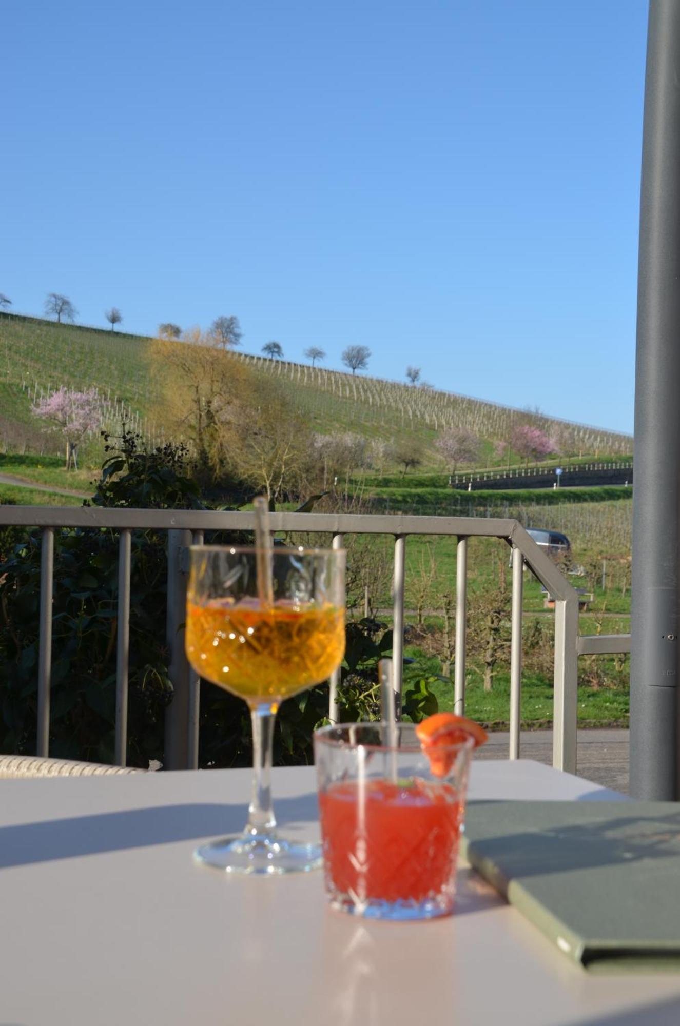 Castell Hotel & Restaurant Leinsweiler Luaran gambar