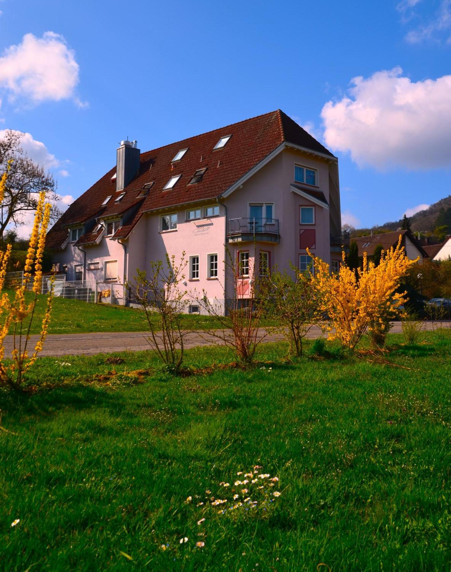 Castell Hotel & Restaurant Leinsweiler Luaran gambar